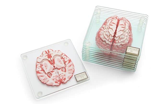 brain specimen coasters
