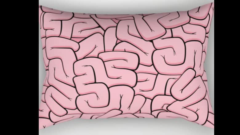 guts or brains pillow