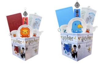 harry potter looksee boxes