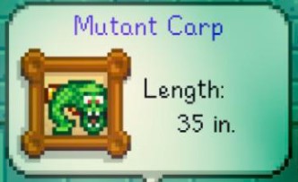 mutant carp